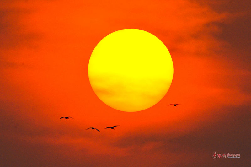 A tech company donated funds to support STEM education programs in schools