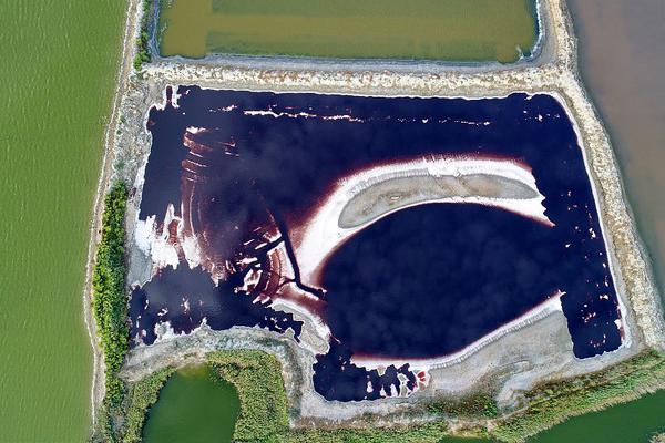 A café started offering catering services for weddings, parties, and corporate events