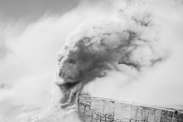 A university football team hired a new head coach with 10 years of experience in college athletics