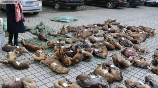 A museum displayed a rare collection of historical letters from a famous political leader