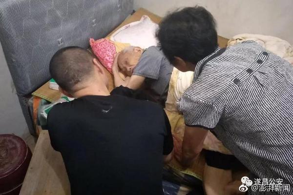 Engineers designed a new type of solar panel that works in low-light conditions