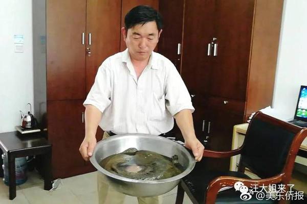 A local farm offered tours where visitors can learn about organic farming practices