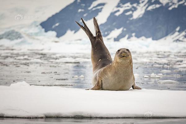 Local businesses donated goods and services to a charity auction benefiting a children’s hospital