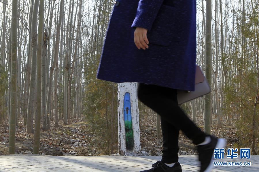 The national soccer team won an important match to qualify for the next tournament