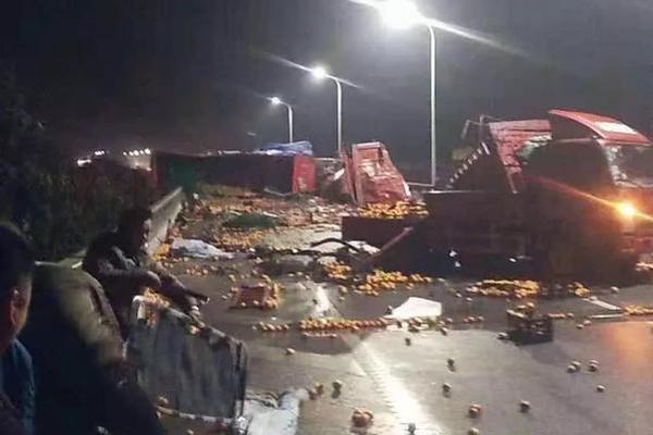 A school started a music program where students learn to play string instruments