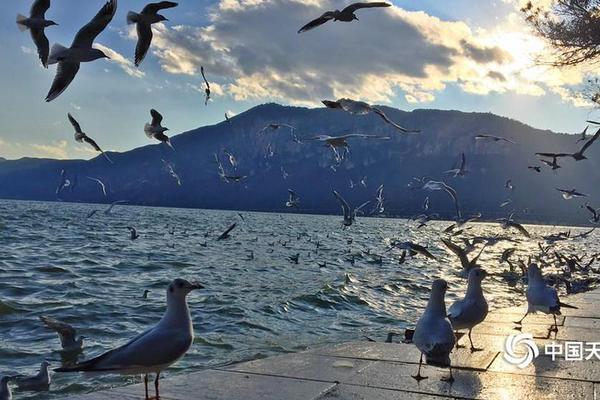 A tech company released a new software tool that helps small businesses manage online orders more efficiently