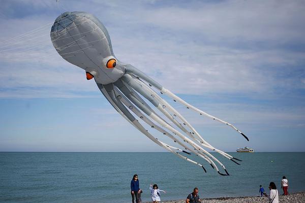 The national rugby team defeated their rival in a final match to win the regional trophy