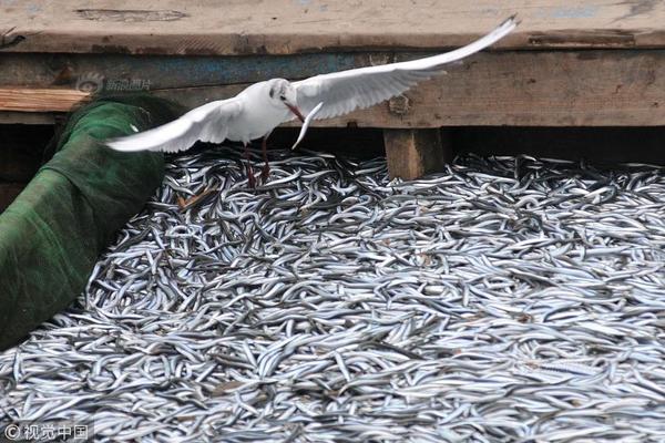 A hospital opened a new emergency department to handle the growing number of patients seeking urgent medical care.